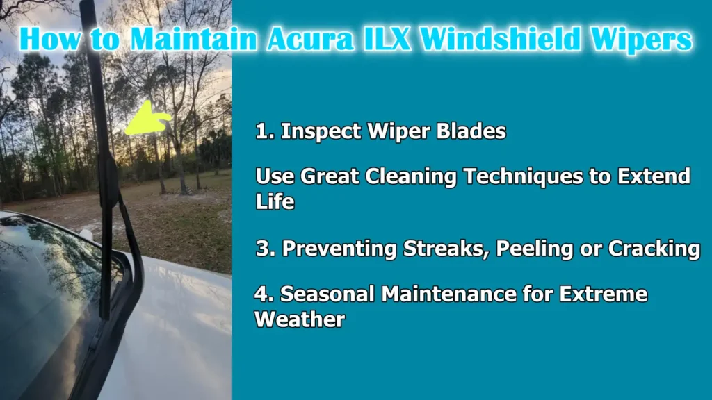 How to Maintain Acura ILX Windshield Wipers