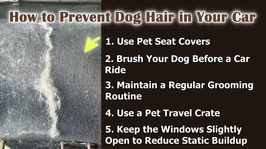 How to Prevent Dog Hair in Your Car