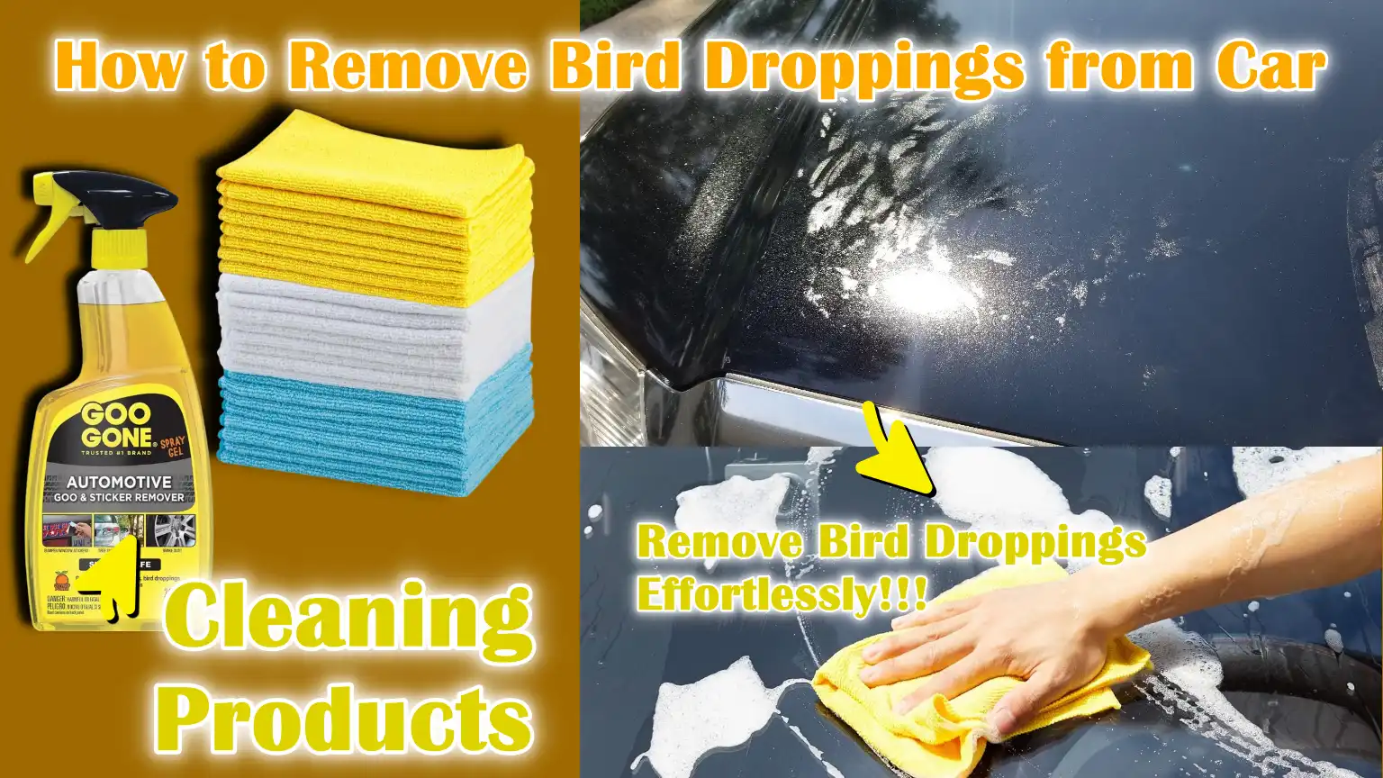 How to Remove Bird Droppings from Car