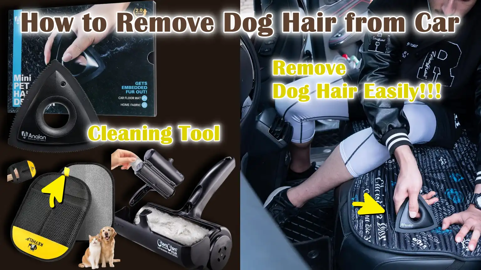 How to Remove Dog Hair from Car