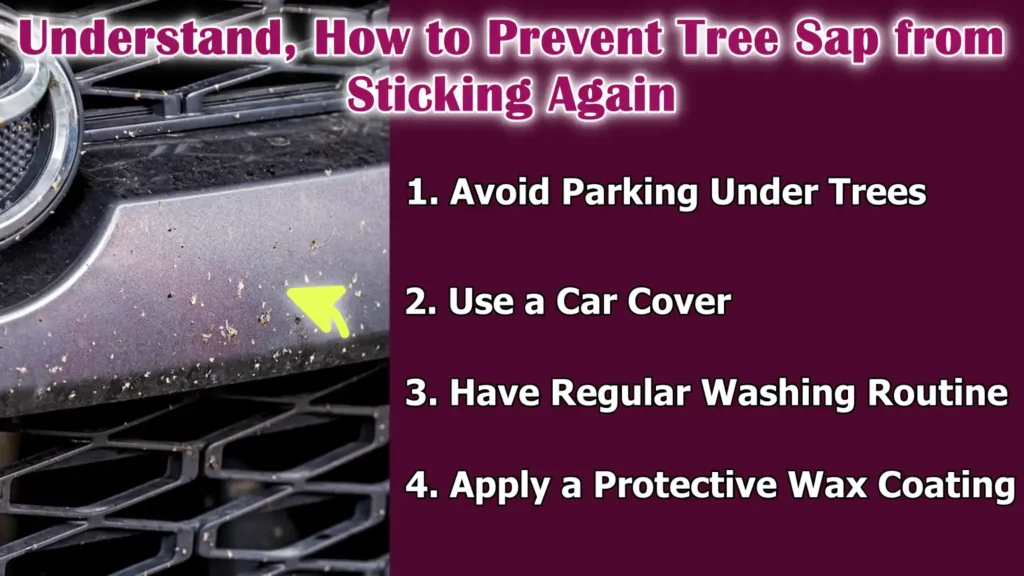 Understand, How to Prevent Tree Sap from Sticking Again