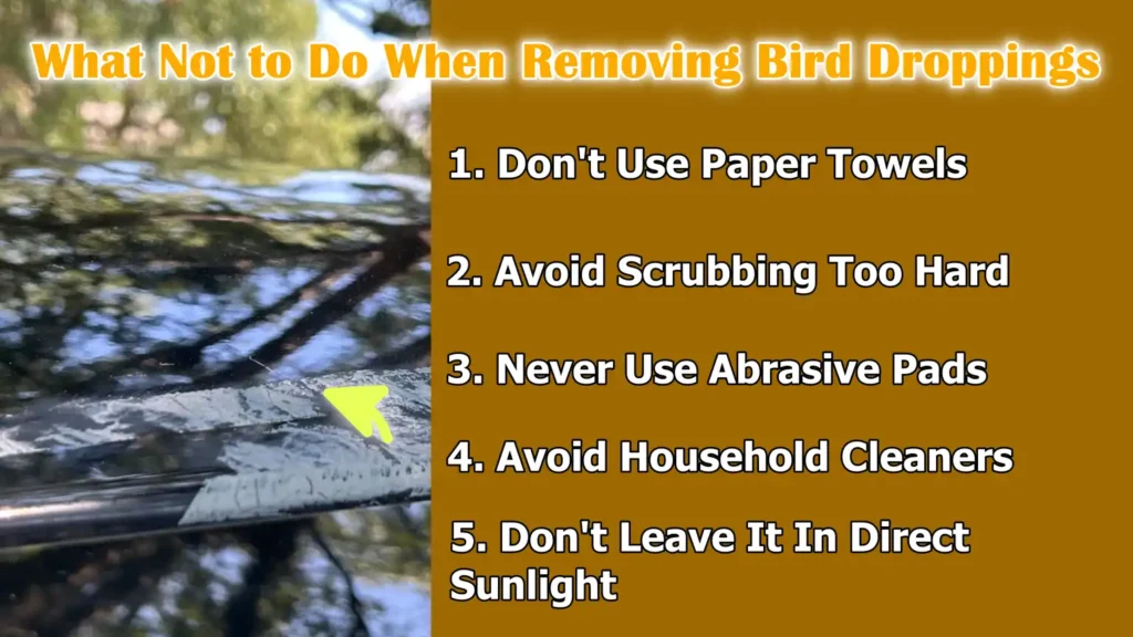 What Not to Do When Removing Bird Droppings